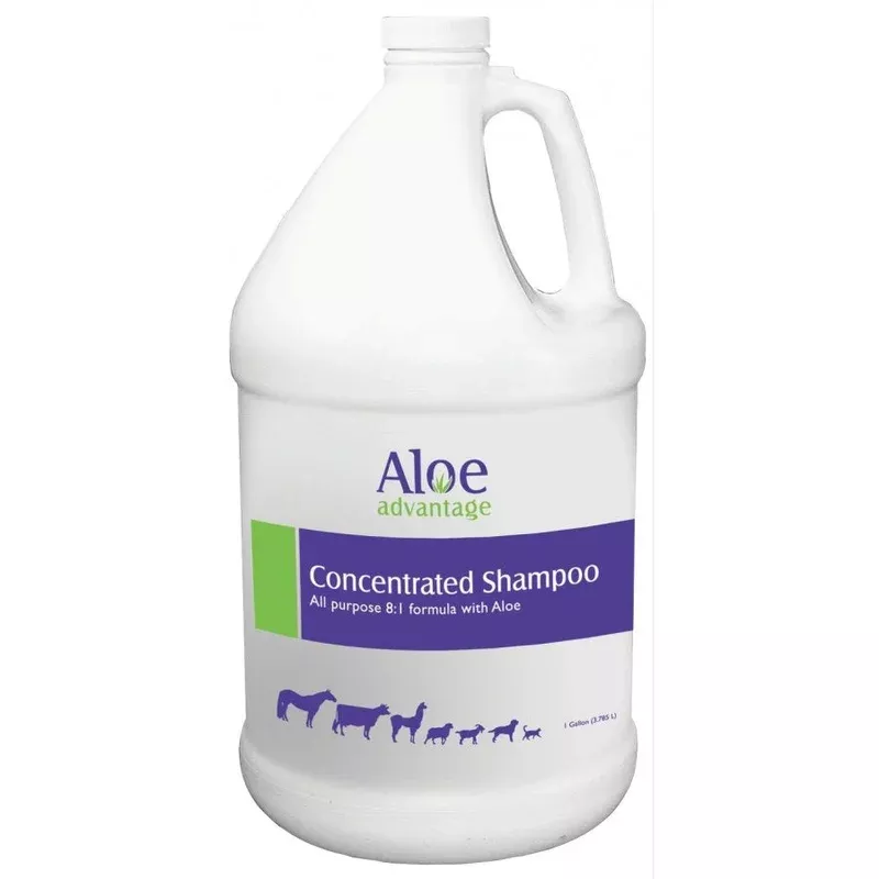 aloe-advantage-livestock-horse-shampoo Aloe Advantage Livestock and Horse Shampoo