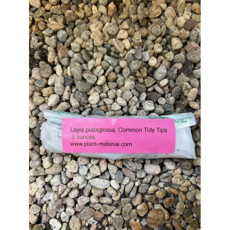 layia-plataglossa-common-tidy-tips-seed-pack Layia plataglossa, Common Tidy Tips Seed Pack