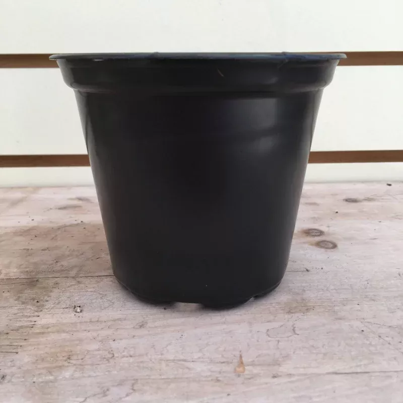 starter-kit-large-cuttings-2-pots Starter Kit for Large Cuttings (2 Pots)