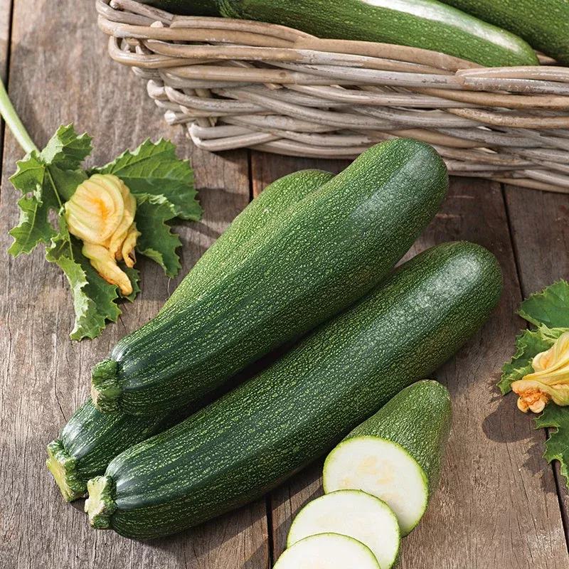 zucchiniblackstar-exotic-10-vegetable-seeds ZucchiniBlackstar Exotic 10 Vegetable Seeds